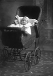 Box 29, Neg. No. 40266: Baby in a Carriage