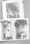 Box 31, Neg. No. 40831: Collage of Photographs