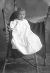 Box 31, Neg. No. 40633: Baby Sitting on a Chair
