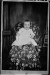 Box 32, Neg. No. 49264: Baby Sitting in a Chair