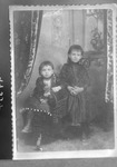 Box 32, Neg. No. 49334: Photograph of Two Girls