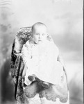 Box 32-2, Neg. No. 1442: Baby Sitting on a Chair