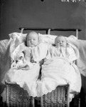 Box 34, Neg. No. 6015XB: Two Babies in a Stroller