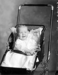Box 34, Neg. No. 8899B: Baby in a Stroller