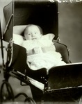 Box 37, Neg. No. 39288: Baby in a Stroller