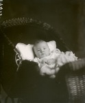 Box 37, Neg. No. 39437: Baby in a Carriage