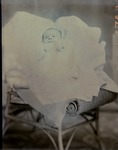 Box 38, Neg. No. 39724: Baby Lying in a Chair