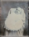 Box 38, Neg. No. 39745: Baby Wearing a Dress