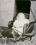 Box 39, Neg. No. 39998: Baby in a Carriage