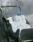 Box 39, Neg. No. 49827: Baby Lying in a Carriage