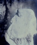 Box 42, Neg. No. 52434: Baby in a Christening Gown