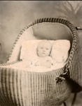 Box 43, Neg. No. 52733: Baby in a Buggy