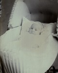 Box 45, Neg. No. 54519: Baby Lying in a Carriage