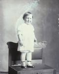 Box 47, Neg. No. 49680: Boy Standing on a Chair