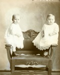 Box 47, Neg. No. 49507: Two Babies Sitting