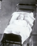 Box 48, Neg. No. 49503: Baby in a Stroller