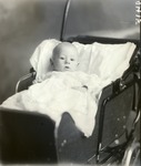 Box 52, Neg. No. 40415: Baby in a Carriage