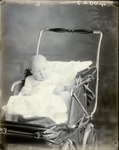 Box 53, Neg. No. 40027: Baby in a Stroller