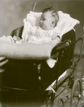 Box 55, Neg. No. 40915: Baby Sitting in a Carriage