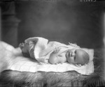 Box 3, Neg. No. 29063: Baby Covered with Blanket