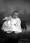 Box 10, Neg. No. 4801B: Baby in a Dress by William R. Gray