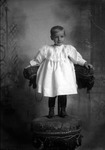 Box 10, Neg. No. 4804: Boy Standing on a Chair by William R. Gray