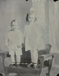 Box 57, Neg. No. 51743: Clowers Children by William R. Gray