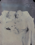 Box 67, Neg. No. 54091#: Brown Twin Babies by William R. Gray