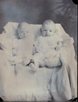 Box 67, Neg. No. 54091+: Brown Twin Babies by William R. Gray