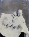 Box 67, Neg. No. 54091-A: Brown Twin Babies by William R. Gray