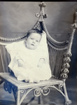 Box 67, Neg. No. 51767-: Whitley Baby by William R. Gray