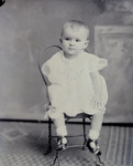 Box 69, Neg. No. 55404 R-: Oxley Child by William R. Gray