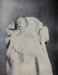 Box 70, Neg. No. 54083-A: White Baby by William R. Gray