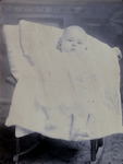 Box 70, Neg. No. 58644-C: Neelly Infant by William R. Gray