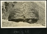 023-04: Fossil of an Ankylosaurus by George Fryer Sternberg 1883-1969