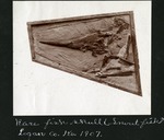 029-02: Fossil of a Snout Fish by George Fryer Sternberg 1883-1969