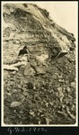 033-03: Excavating Work by George Fryer Sternberg 1883-1969