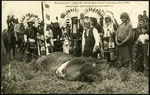 041-01: Postcard by George Fryer Sternberg 1883-1969