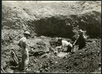 047-02: Searching for Fossils by George Fryer Sternberg 1883-1969