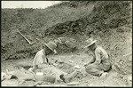 048-03: Measuring Fossil by George Fryer Sternberg 1883-1969