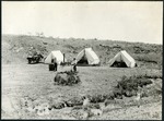 051-02: Three Tents by George Fryer Sternberg 1883-1969