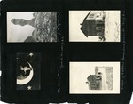 058-00: Sternberg Album Page 58 by George Fryer Sternberg 1883-1969