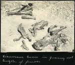 060-01: Levi Sternberg with Dinosaur Bones by George Fryer Sternberg 1883-1969