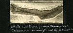 063-02: Pteranodon by George Fryer Sternberg 1883-1969
