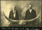 064-01: Bison Horns by George Fryer Sternberg 1883-1969