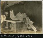 064-03: Mastadon Fossil by George Fryer Sternberg 1883-1969