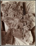 068-02: Fossils by George Fryer Sternberg 1883-1969