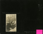 084-00: Sternberg Album Page 84 by George Fryer Sternberg 1883-1969