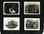 104-00: Sternberg Album Page 104 by George Fryer Sternberg 1883-1969