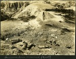 032-01: Carnivore Bones in Excavation Site by George Fryer Sternberg 1883-1969